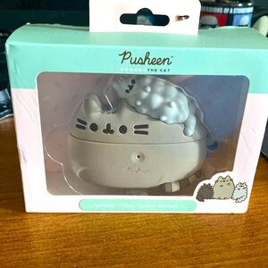 Pusheen  air pods 3 case